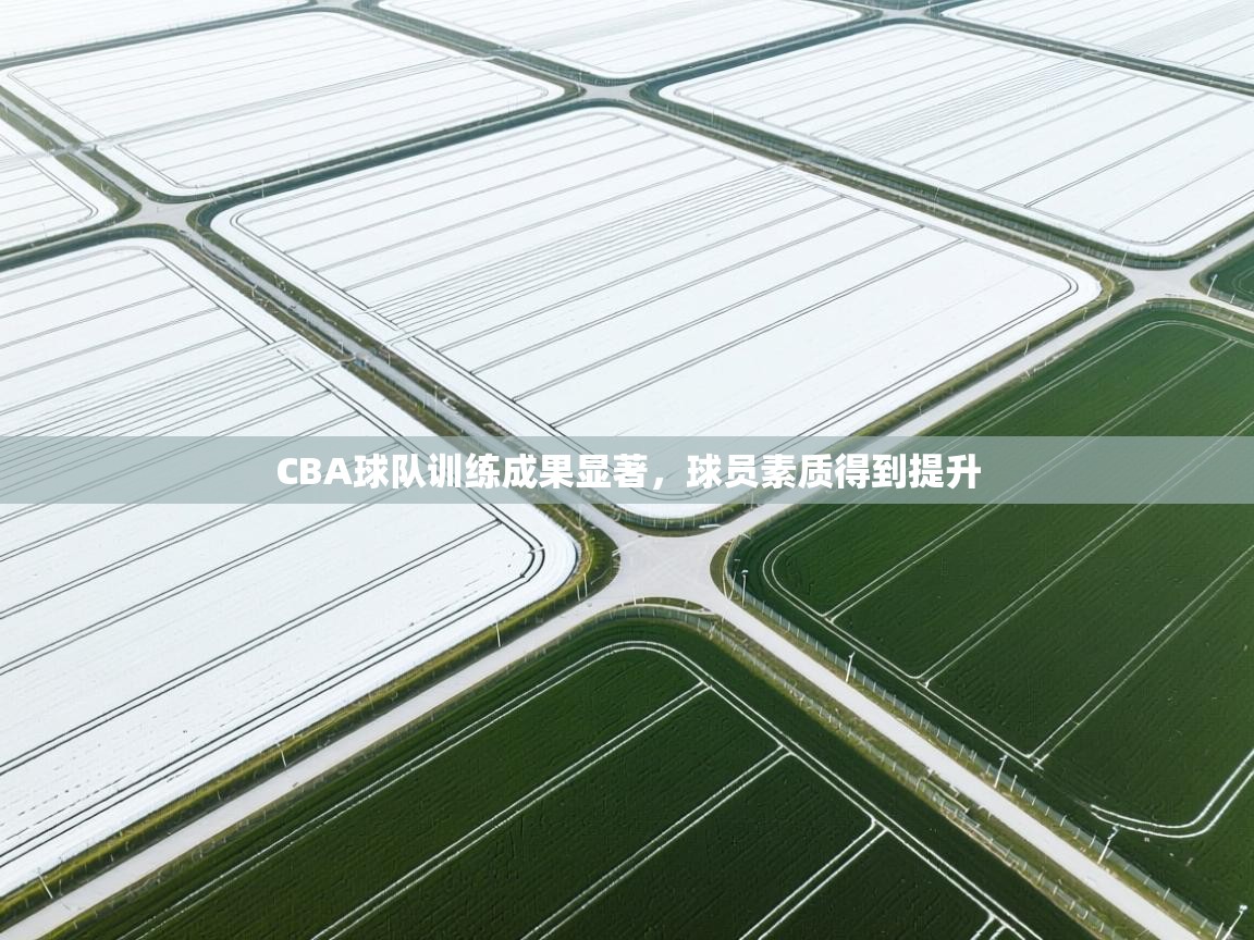 CBA球队训练成果显著,球员素质得到提升 第1张