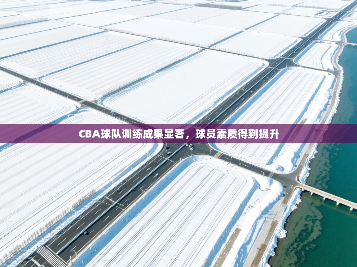 CBA球队训练成果显著,球员素质得到提升 第2张